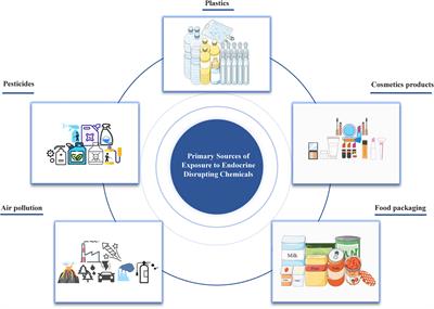 The adverse role of endocrine disrupting chemicals in the reproductive system